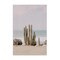 Stupell Industries Cactus on Beach Shore Canvas Wall Art Design by Sisi and Seb